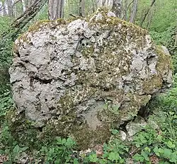 Menhir de la Roche à Blin
