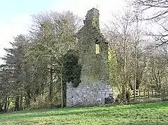Trillick castle.