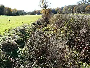 Le lit du Trincou presque à sec au pont de la RD 3 près de Lardailler.