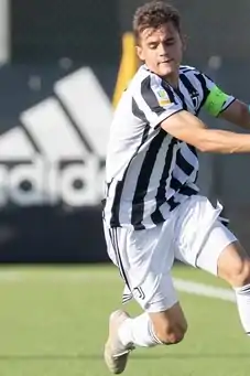 Image illustrative de l’article Ervin Omić