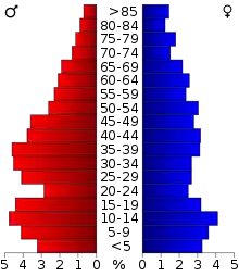 Schéma représentant la population du comté, par tranche d'âge. En rouge, à gauche, les femmes, en bleu à droite, les hommes.