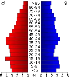 Schéma représentant la population du comté, par tranche d'âge. En rouge, à gauche, les femmes, en bleu à droite, les hommes.