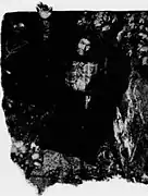 Charles Géniaux : Une des apparitions de Naïa qui effraie tant les paysans.