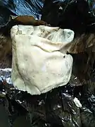 Kenkey fante déballé.