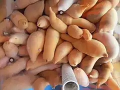 Des vers priapulidés sur un marché en Corée.