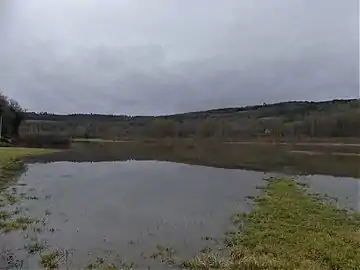 La Vézère en crue, face à la Roque Saint-Christophe (janvier 2018).
