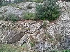 Couche calcaire faillée en biseau.