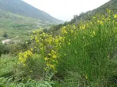 Valdichiesa : à droite le Monte Fossa delle Felci, à gauche le Monte dei Porri.
