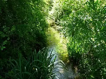 Le Vern en amont du pont menant au lieu-dit les Feydies.