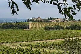 Vue du vignoble et du domaine voisin depuis La Nerthe