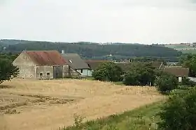 Jiřice u Moravských Budějovic