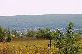 Mount Carmel (Pennsylvanie)