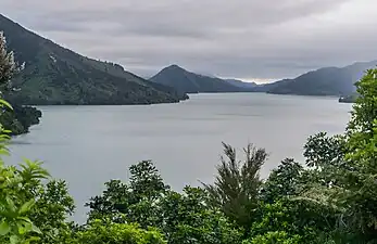 Photographie d'une ria très encaissée depuis une côte portant une végétation subtropicale.