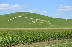 Image illustrative de l’article Coteaux-champenois