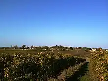Vignobles de Taillecavat (août&nbsp;2010)