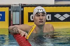 Image illustrative de l’article Viktor Bromer