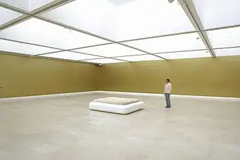 Galerie Carrée. Exposition John Armleder (2007).