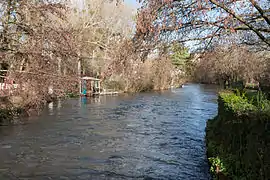 L’Essonne au hameau de Moulin-Galant.