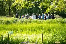 Visite guidée dans le Jardin des plantes sauvages