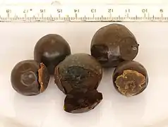 Fruits, avec échelle (Sénégal)