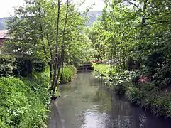 Bras canalise de la Romanche dans le domaine de Vizille