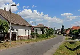 Vlačice