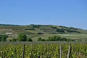 Image illustrative de l’article Vorbourg