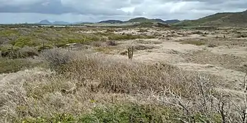 Vue de la Savane en directionde l'Étang des Salines.