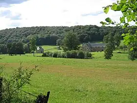 Vue générale de la Chartreuse Mont-Dieu.