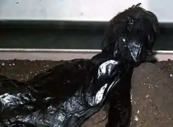 Buste de l’Homme de Grauballe