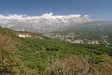 Forêt de noyers d'Arslanbob