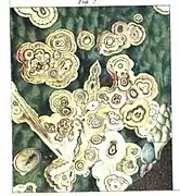 Illustration (fig. 2) pour un article de David Brewster