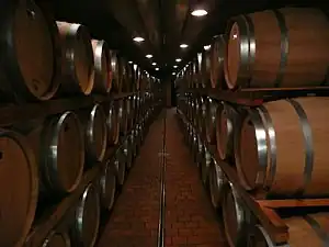 Cave de Barolo.