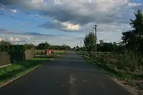 Wola Władysławowska