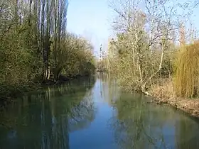 Cours d'eau de l'Yèvre, affluent du Cher.