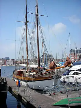 illustration de Antarès (goélette)