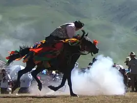 Cavalier et cheval au festival du cheval de Yushu, en juillet 2008