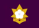 Drapeau de Taku-shi
