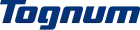 logo de Tognum
