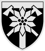 Image illustrative de l’article 128e brigade d'assaut de montagne