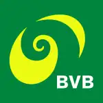 logo de Basler Verkehrs-Betriebe