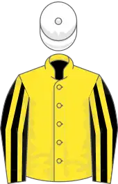 Image illustrative de l’article User Friendly (cheval)