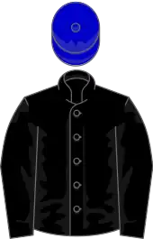 Image illustrative de l’article Subotica (cheval)