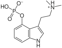 Image illustrative de l’article Psilocybine