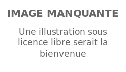 Image illustrative de l’article Matthieu Aron