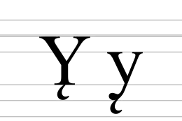 Image illustrative de l’article Y̨