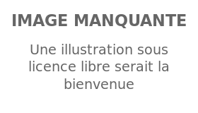 Image illustrative de l’article Seufyann Sayad