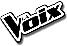 Image illustrative de l’article La Voix (émission de télévision)