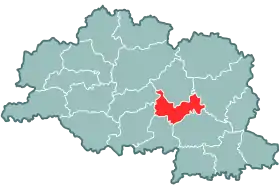 Raïon de Bechankovitchy