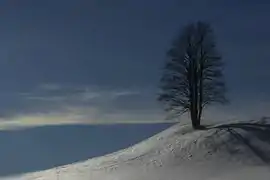 Bellecombe, sur la piste de la Grande Traversée du Jura (GTJ)